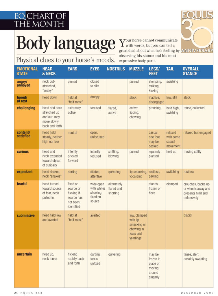 Use This Body Language Chart To Understand Your Horse s Mood Through 